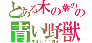 とある木の葉のの青い野獣（マイト⚫︎ガイ）