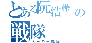 とある阮浩樺 の戦隊 （スーパー戦隊）