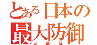 とある日本の最大防御（自衛隊）