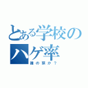 とある学校のハゲ率（誰の頭か？）