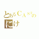 とあるＣＡＳ主のにけ（）