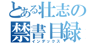 とある壮志の禁書目録（インデックス）