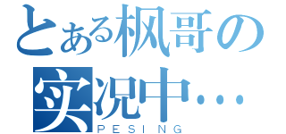 とある枫哥の实况中…（ＰＥＳＩＮＧ）