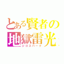 とある賢者の地獄雷光（ジゴスパーク）