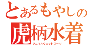 とあるもやしの虎柄水着（アニマルウェットスーツ）