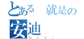 とある這就是の安迪（Ａｎｄｙ）