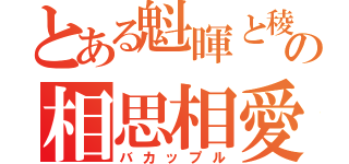 とある魁暉と稜の相思相愛（バカップル）