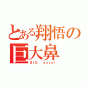 とある翔悟の巨大鼻（ＢＩＧ  ｎｏｓｅ！）