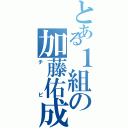 とある１組の加藤佑成（チビ）