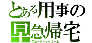 とある用事の早急帰宅（スピードバックホーム）