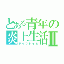 とある青年の炎上生活Ⅱ（デイフレイム）