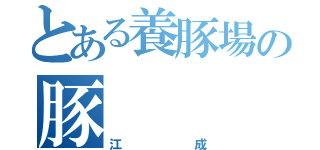 とある養豚場の豚（江成）