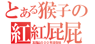 とある猴子の紅紅屁屁（五指山５００年沒在怕）