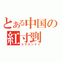 とある中国の紅寸剄（コウスンケイ）