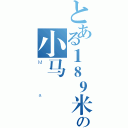 とある１８９米の小马（Ｍａ）