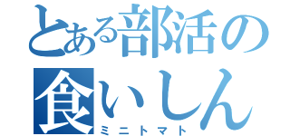 とある部活の食いしん坊（ミニトマト）