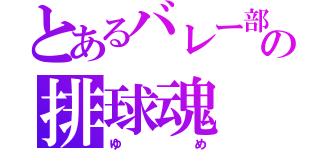 とあるバレー部の排球魂（ゆめ）