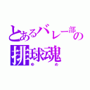 とあるバレー部の排球魂（ゆめ）