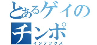 とあるゲイのチンポ（インデックス）