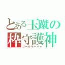 とある玉蹴の枠守護神（ゴールキーパー）