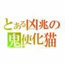 とある凶兆の鬼使化猫（橙）