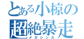 とある小椋の超絶暴走（メガシンカ）