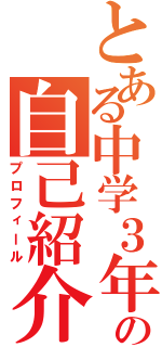 とある中学３年生の自己紹介（プロフィール）