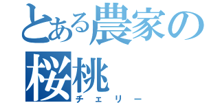 とある農家の桜桃（チェリー）