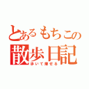 とあるもちこの散歩日記（歩いて痩せる）