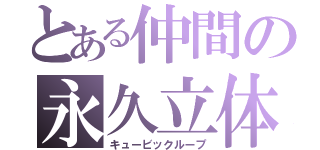 とある仲間の永久立体（キュービックループ）