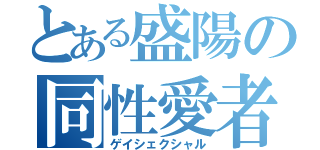 とある盛陽の同性愛者（ゲイシェクシャル）