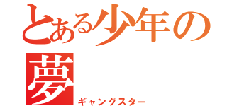 とある少年の夢（ギャングスター）