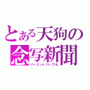 とある天狗の念写新聞（ハーミットパープル）