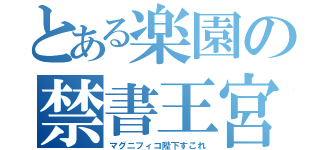 とある楽園の禁書王宮（マグニフィコ陛下すこれ）