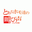 とあるホモ達の叫び声（〜♂と♂の共鳴〜）