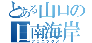 とある山口の日南海岸（フェニックス）