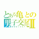 とある亀との男子交尾Ⅱ（ホモセックス）