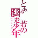 とある　若の逃走少年（エスケープ）