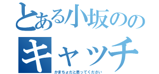 とある小坂ののキャッチコピー（かまちょだと思ってください）