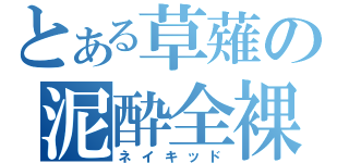 とある草薙の泥酔全裸（ネイキッド）