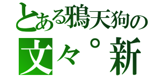 とある鴉天狗の文々゜新聞（）