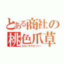 とある商社の桃色爪草（ももいろクローバー）