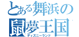 とある舞浜の鼠夢王国（ディズニーランド）