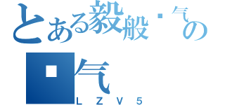 とある毅般帅气の帅气（ＬＺＶ５）