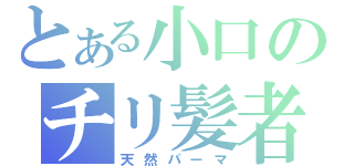 とある小口のチリ髪者（天然パーマ）