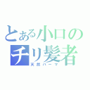 とある小口のチリ髪者（天然パーマ）