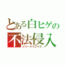 とある白ヒゲの不法侵入（メリークリスマス）