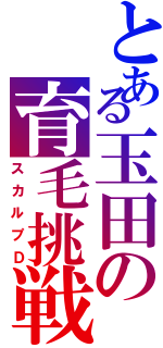 とある玉田の育毛挑戦（スカルプＤ）