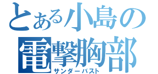 とある小島の電撃胸部（サンダーバスト）