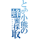 とある小熊の蜂蜜採取（ハニーハント）